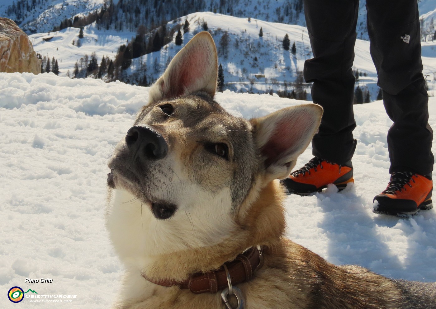 49 Ci godiamo il sole e il panorama!.JPG